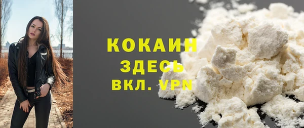 сатива Волоколамск