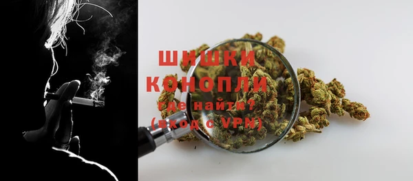 сатива Волоколамск