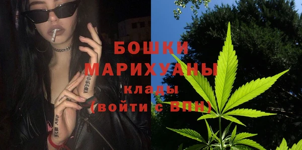 сатива Волоколамск